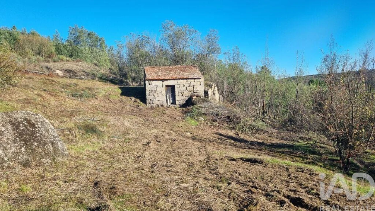 Terreno para Venda em Juncais, Vila Ruiva e Vila Soeiro do Chão Foto 21
