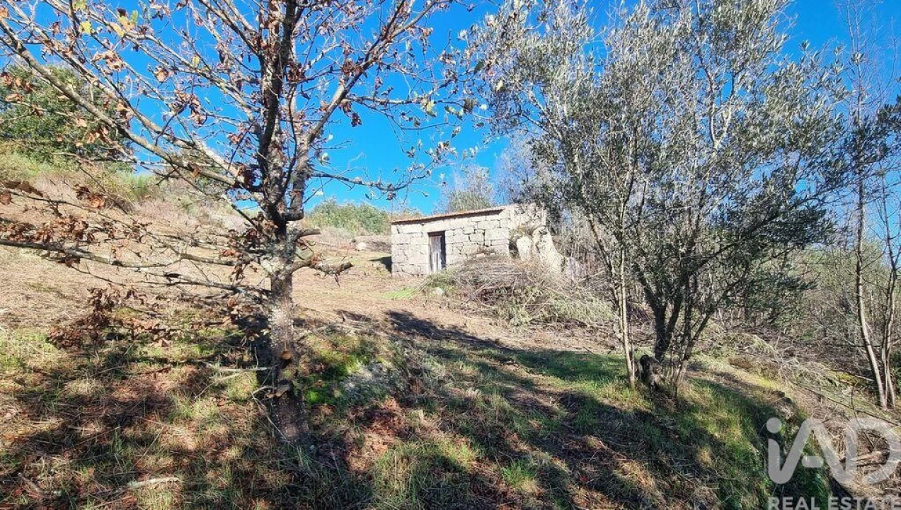 Terreno para Venda em Juncais, Vila Ruiva e Vila Soeiro do Chão Foto 27