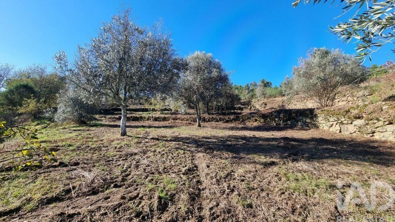 Terreno para Venda em Juncais, Vila Ruiva e Vila Soeiro do Chão Foto 11