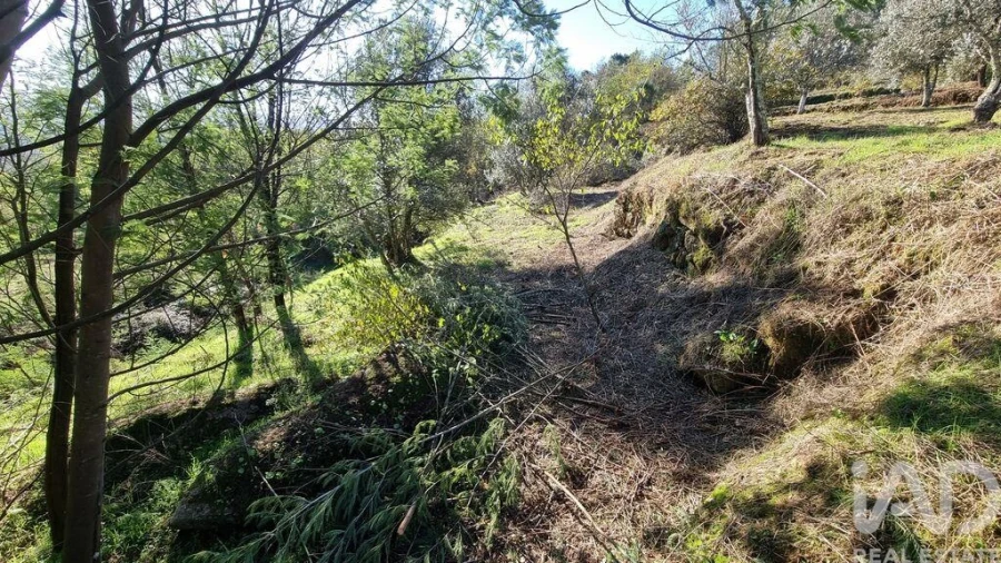 Terreno para Venda em Juncais, Vila Ruiva e Vila Soeiro do Chão Foto 22