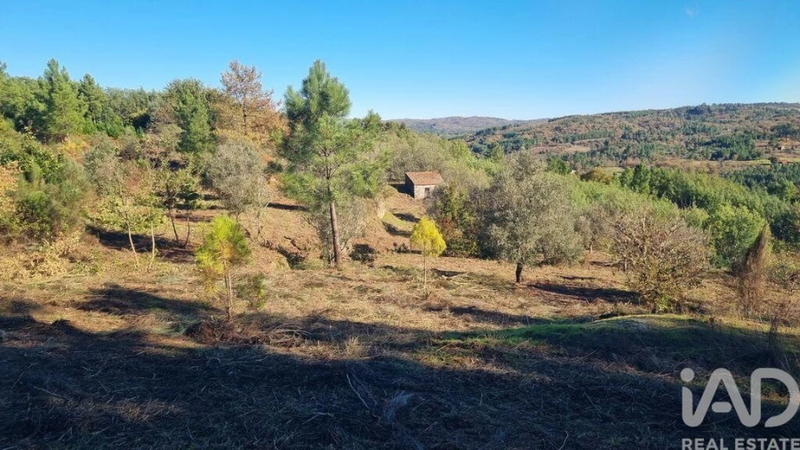 Terreno para Venda em Juncais, Vila Ruiva e Vila Soeiro do Chão Foto 10