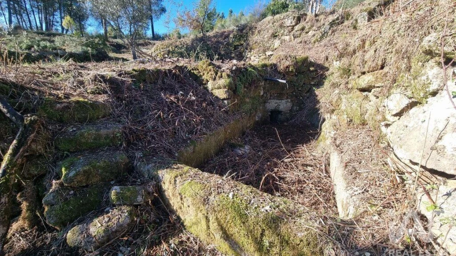 Terreno para Venda em Juncais, Vila Ruiva e Vila Soeiro do Chão Foto 6