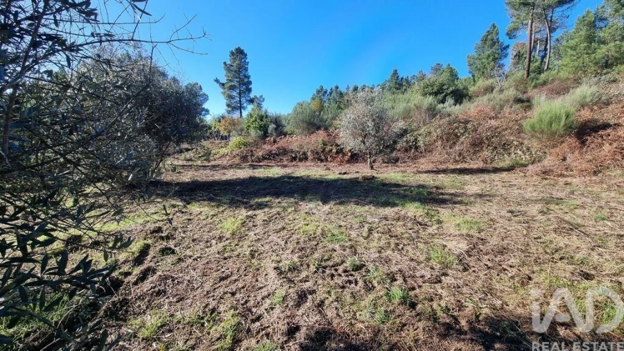 Terreno para Venda em Juncais, Vila Ruiva e Vila Soeiro do Chão Foto 20