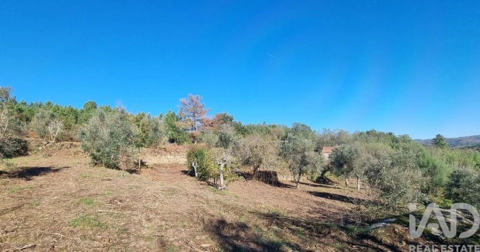 Terreno para Venda em Juncais, Vila Ruiva e Vila Soeiro do Chão Foto 25