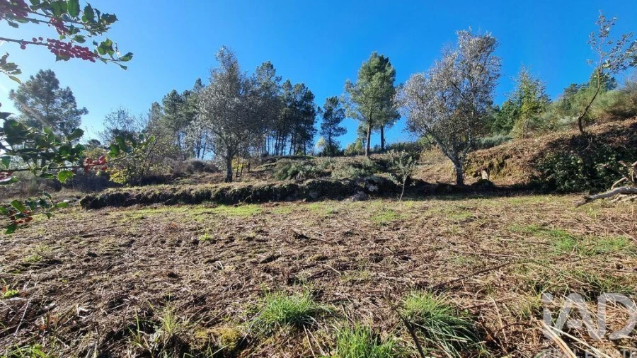 Terreno para Venda em Juncais, Vila Ruiva e Vila Soeiro do Chão Foto 16