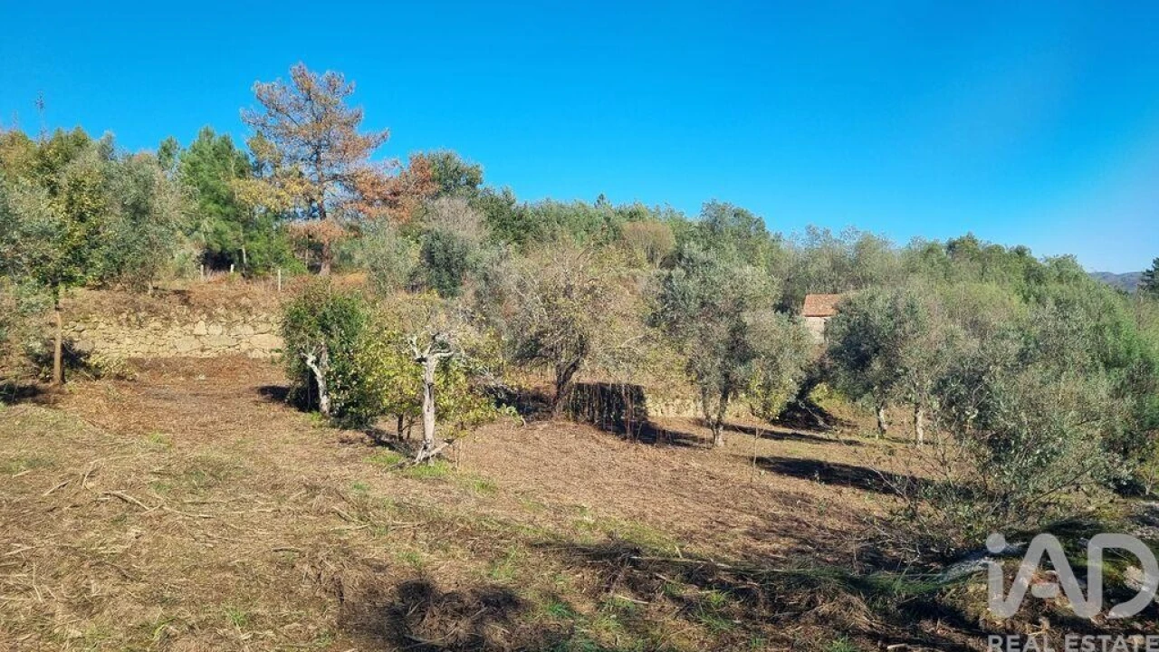 Terreno para Venda em Juncais, Vila Ruiva e Vila Soeiro do Chão Foto 9