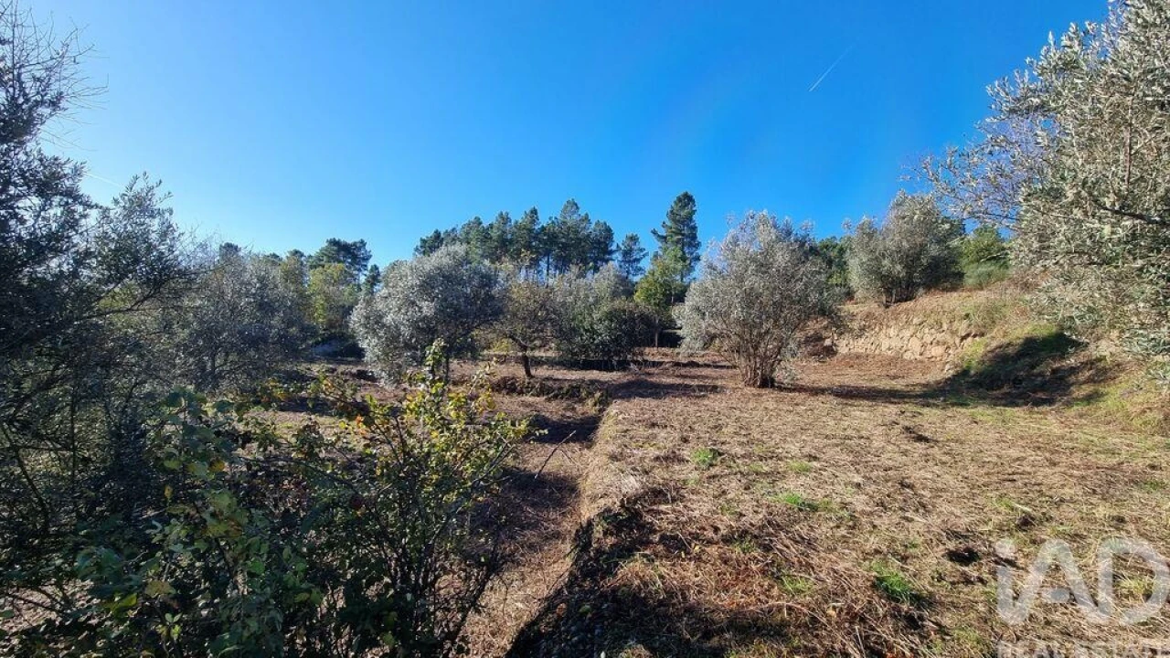 Terreno para Venda em Juncais, Vila Ruiva e Vila Soeiro do Chão Foto 18