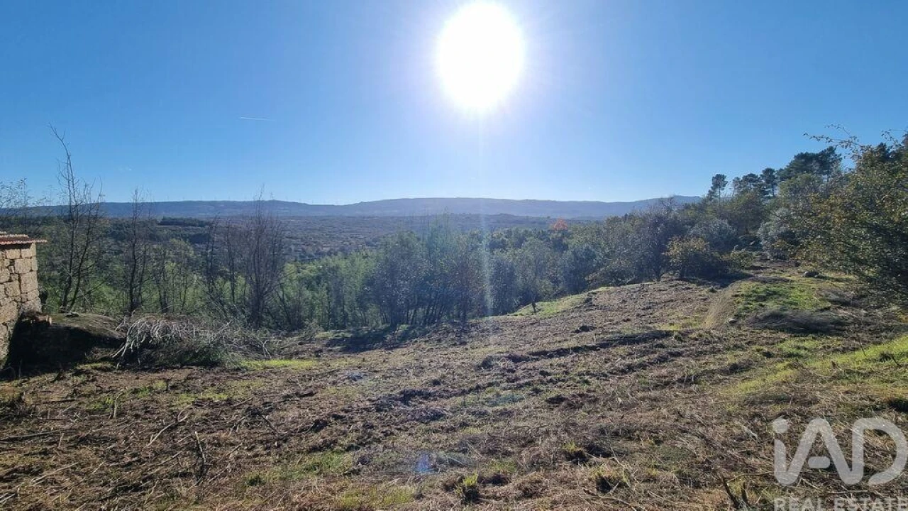Terreno para Venda em Juncais, Vila Ruiva e Vila Soeiro do Chão Foto 14