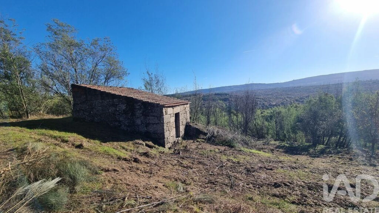 Terreno para Venda em Juncais, Vila Ruiva e Vila Soeiro do Chão Foto 23