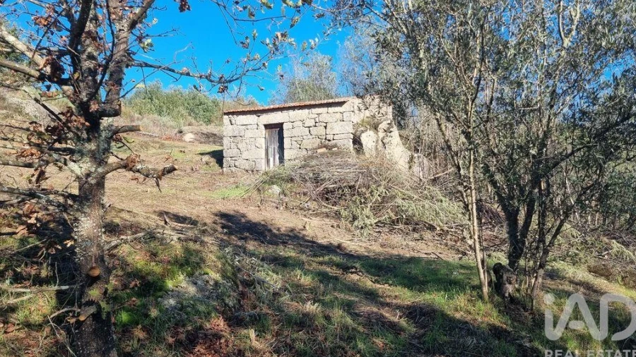 Terreno para Venda em Juncais, Vila Ruiva e Vila Soeiro do Chão