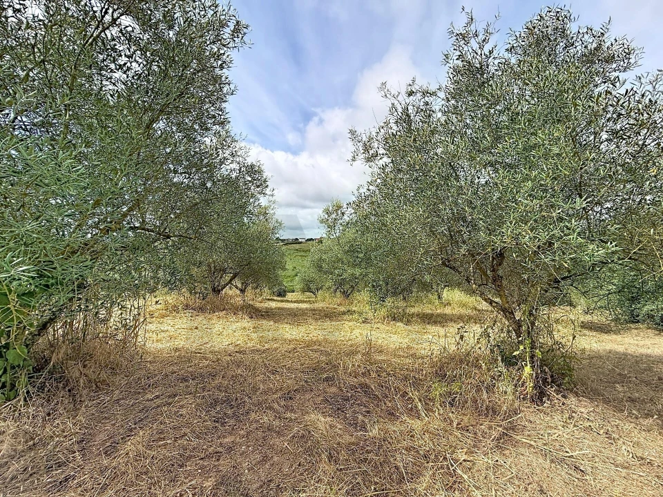 Moradia T2 para Venda em Achete, Azoia de Baixo e Póvoa de Santarém Foto 9