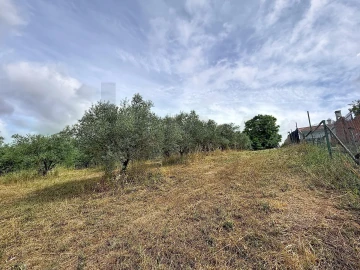 Moradia T2 para Venda em Achete, Azoia de Baixo e Póvoa de Santarém