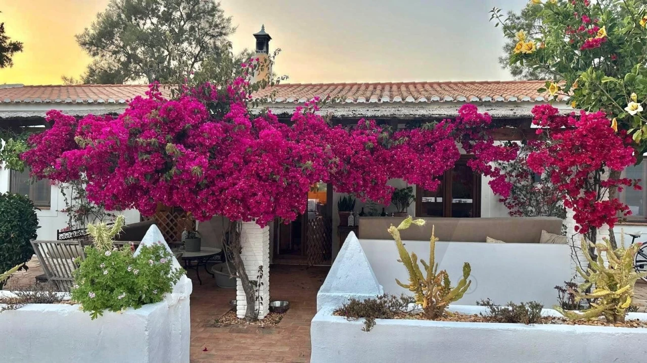 Quinta T4 para Venda em Estômbar e Parchal Foto 1