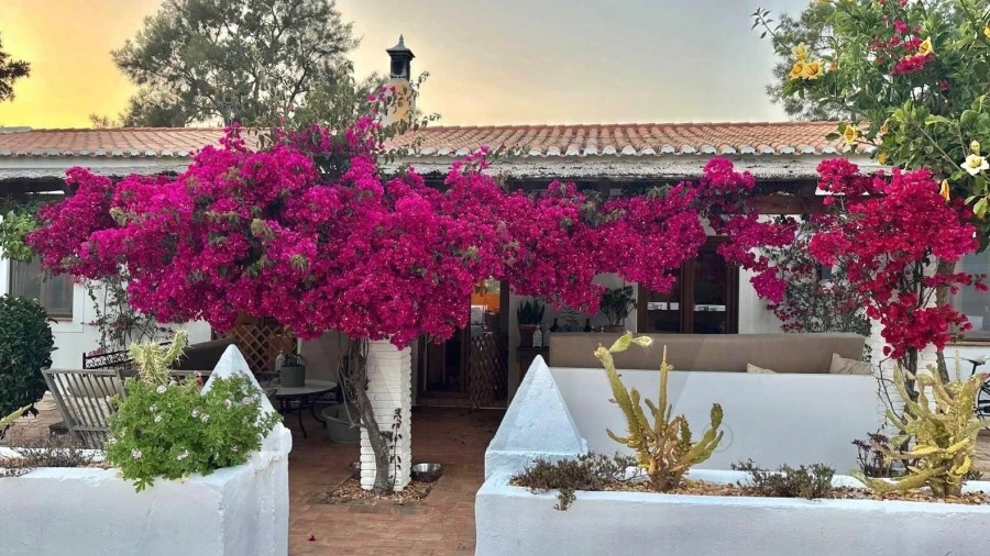 Quinta T4 para Venda em Estômbar e Parchal