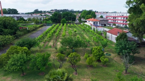 Moradia T5 para Venda em Vila das Aves