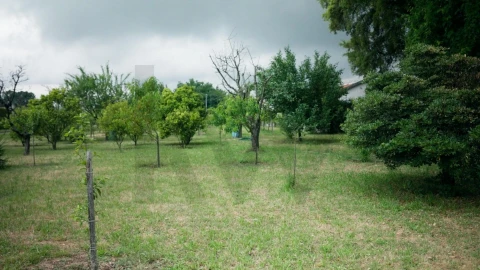 Moradia T5 para Venda em Vila das Aves