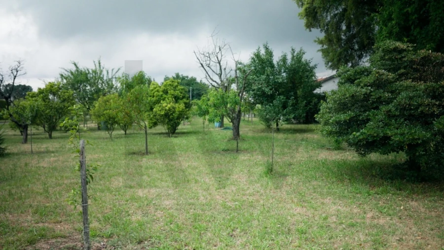 Moradia T5 para Venda em Vila das Aves Foto 32