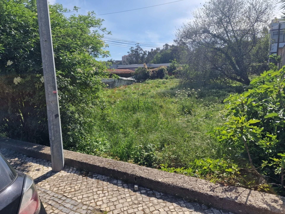 Terreno para Venda em São João da Madeira Foto 2