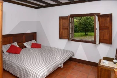 Quinta T5 para Venda em Fafe