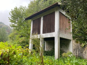 Quinta T5 para Venda em Fafe
