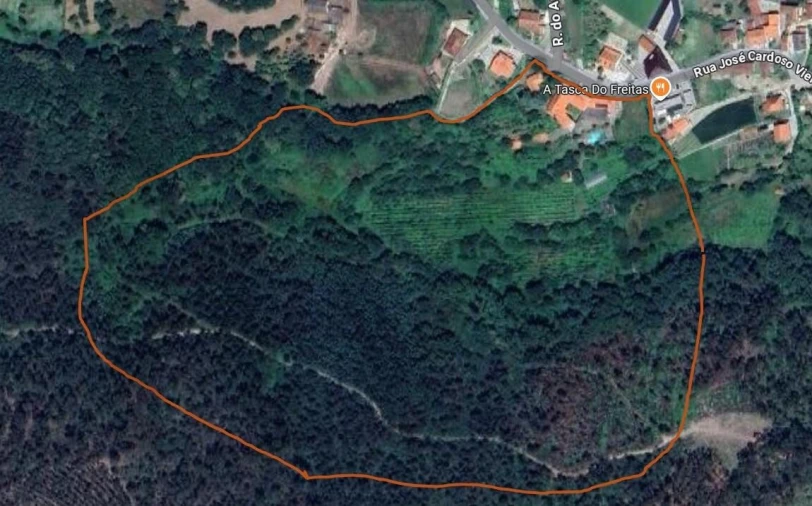 Quinta T5 para Venda em Fafe Foto 39