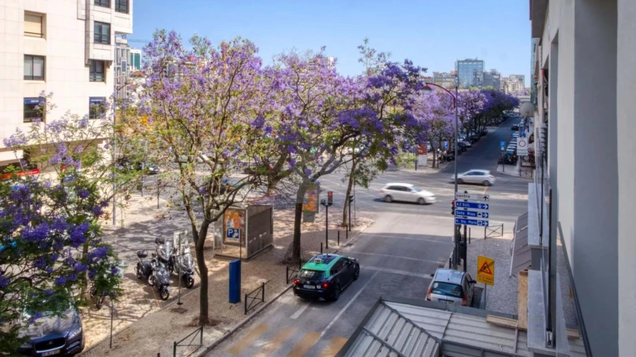Apartamento T3 para Venda em Avenidas Novas Foto 10