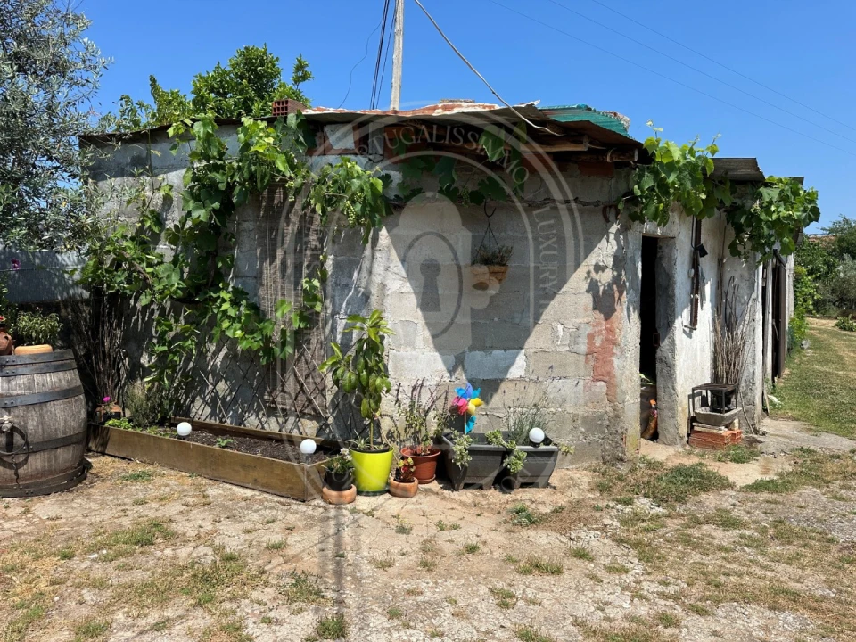 Quinta T4 para Venda em Pussos São Pedro Foto 46