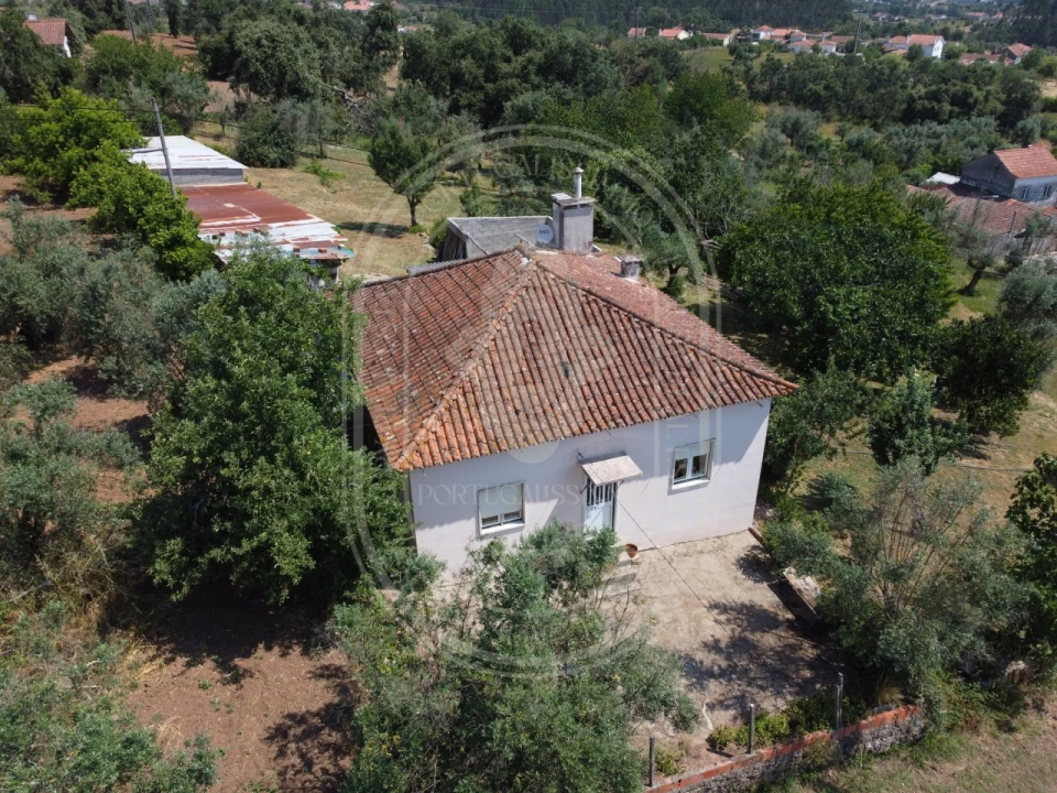 Quinta T4 para Venda em Pussos São Pedro Foto 50