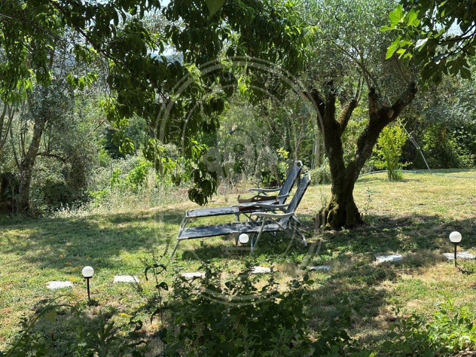 Quinta T4 para Venda em Pussos São Pedro Foto 53