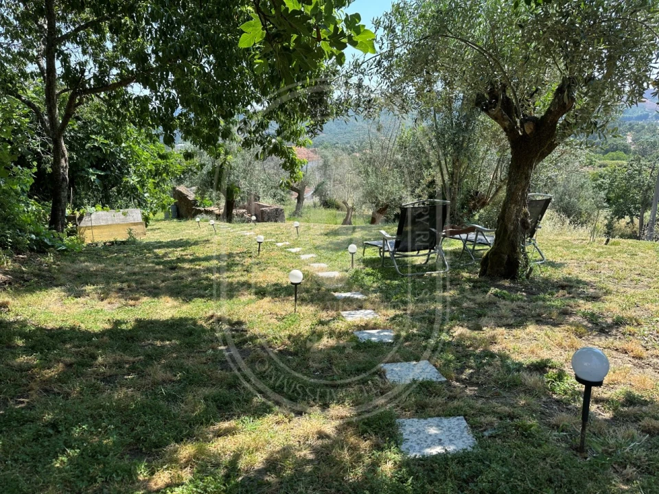 Quinta T4 para Venda em Pussos São Pedro Foto 55