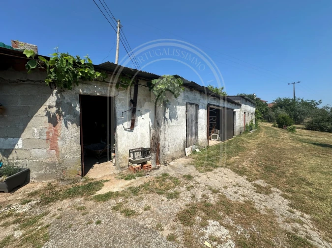 Quinta T4 para Venda em Pussos São Pedro Foto 47