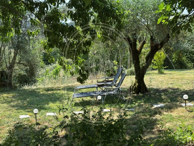 Quinta T4 para Venda em Pussos São Pedro Foto 53