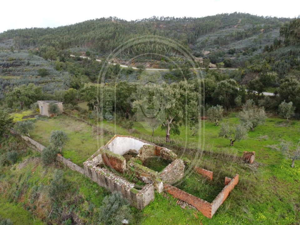 Terreno para Venda em Aldeia do Mato e Souto Foto 3