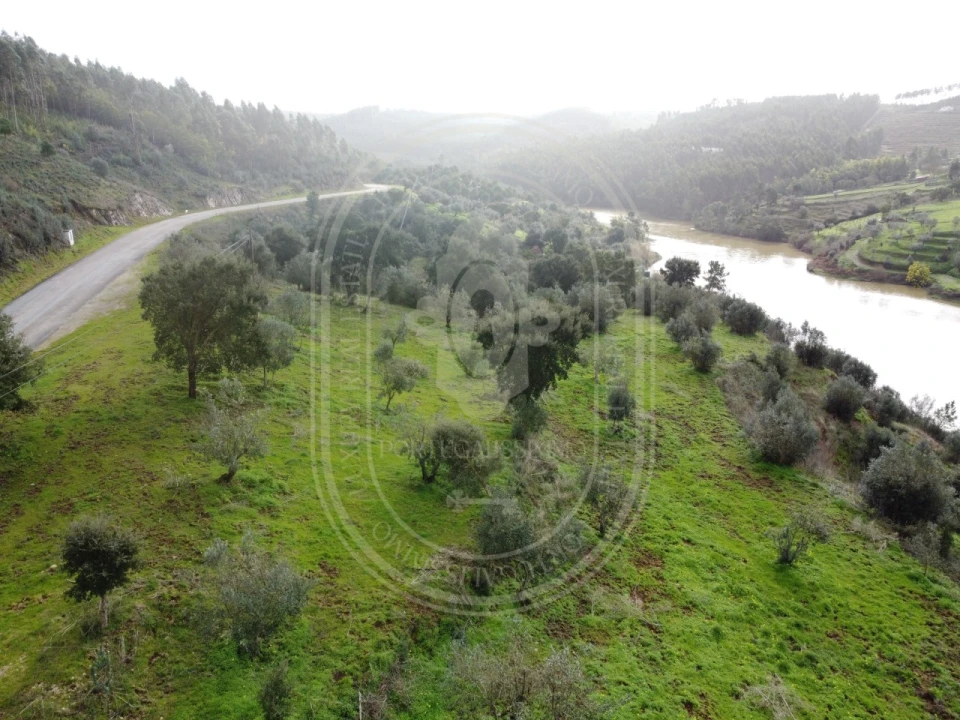 Terreno para Venda em Aldeia do Mato e Souto Foto 4