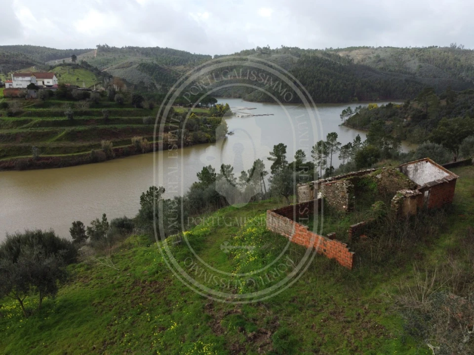 Terreno para Venda em Aldeia do Mato e Souto Foto 6