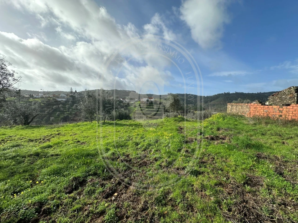 Terreno para Venda em Aldeia do Mato e Souto Foto 7