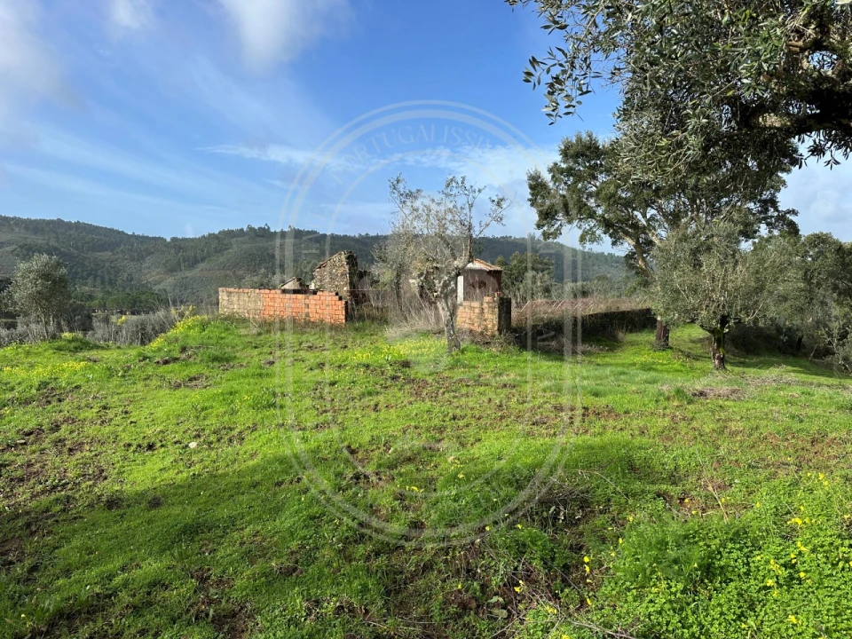 Terreno para Venda em Aldeia do Mato e Souto Foto 9