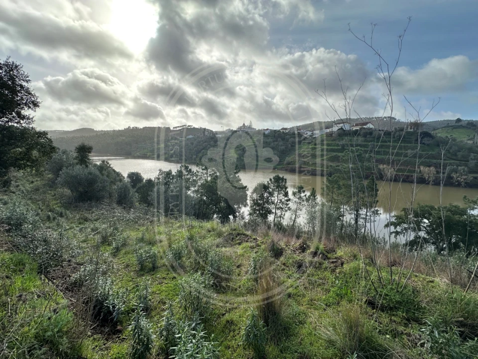 Terreno para Venda em Aldeia do Mato e Souto Foto 13