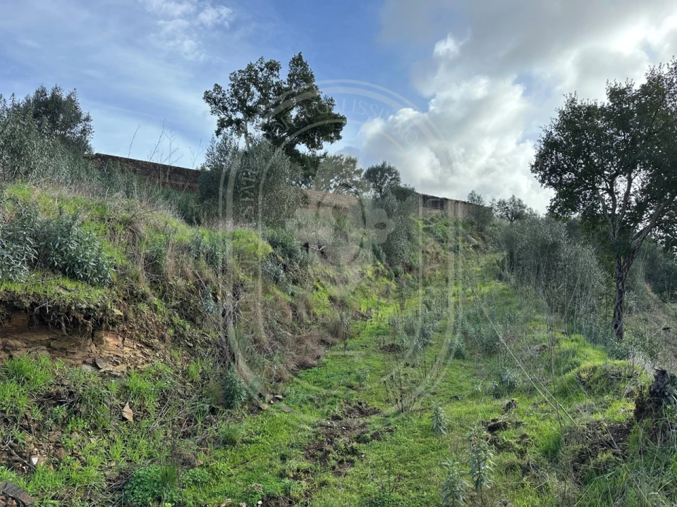 Terreno para Venda em Aldeia do Mato e Souto Foto 14