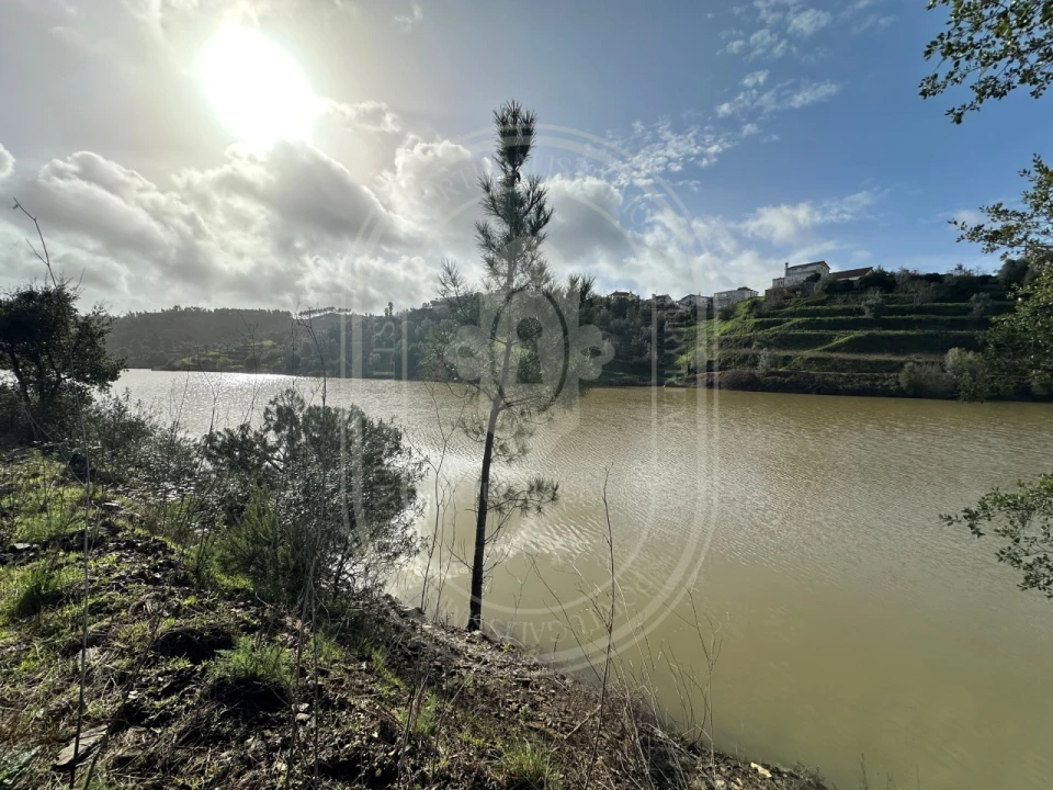 Terreno para Venda em Aldeia do Mato e Souto Foto 17