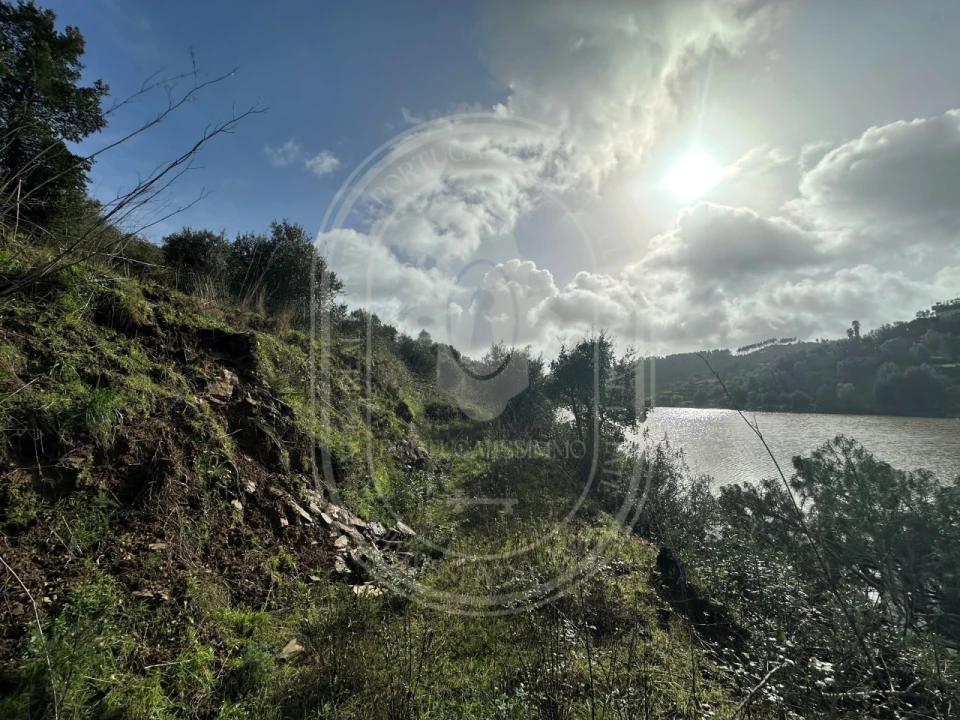 Terreno para Venda em Aldeia do Mato e Souto Foto 19