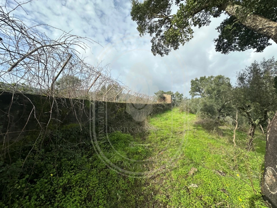 Terreno para Venda em Aldeia do Mato e Souto Foto 23