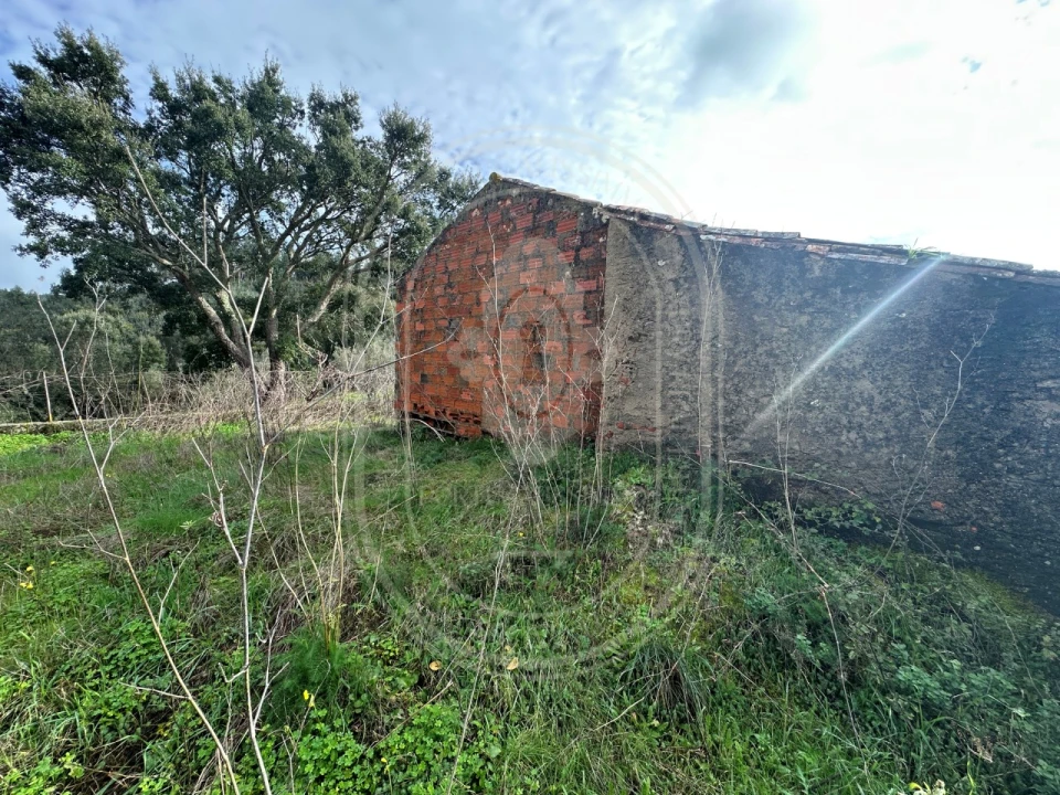 Terreno para Venda em Aldeia do Mato e Souto Foto 28