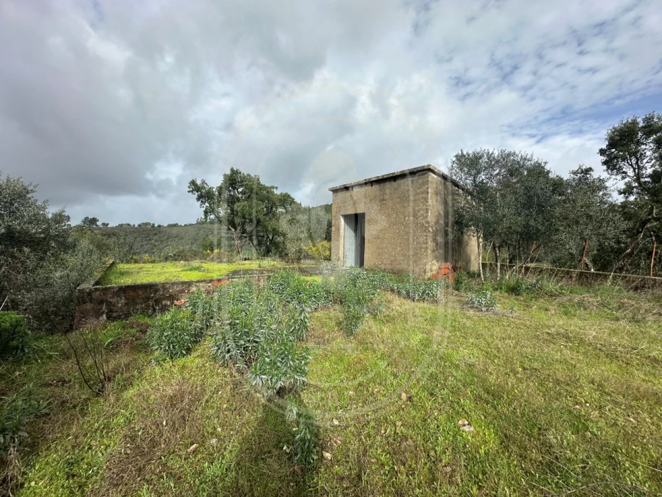 Terreno para Venda em Aldeia do Mato e Souto Foto 30