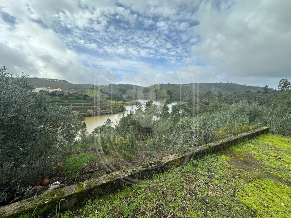 Terreno para Venda em Aldeia do Mato e Souto Foto 34