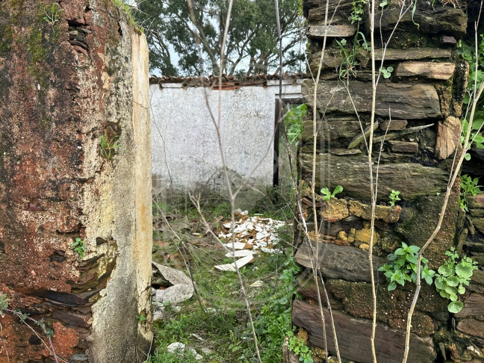 Terreno para Venda em Aldeia do Mato e Souto Foto 38