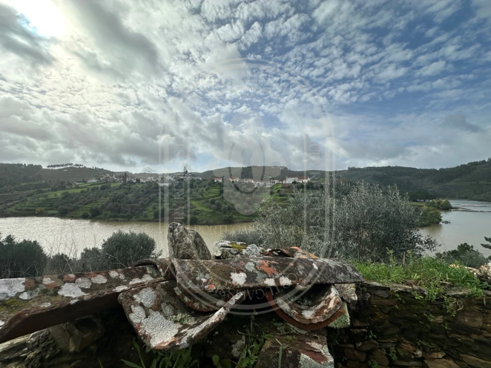 Terreno para Venda em Aldeia do Mato e Souto Foto 40