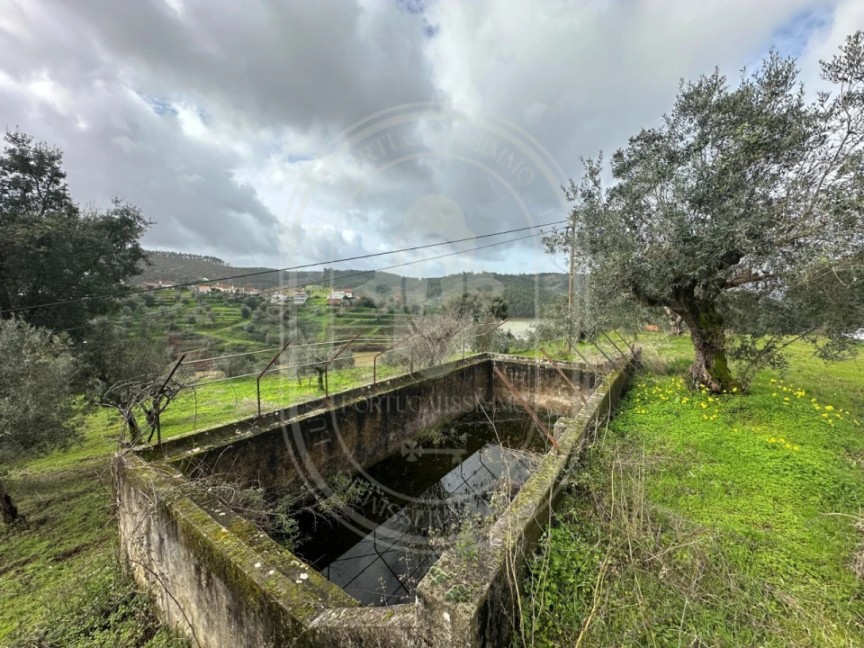 Terreno para Venda em Aldeia do Mato e Souto Foto 43