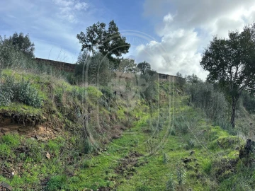 Terreno para Venda em Aldeia do Mato e Souto