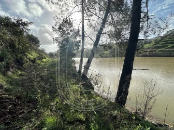 Terreno para Venda em Aldeia do Mato e Souto